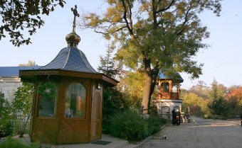Одесситов приглашают в «Оранжерею цвета» (фото)