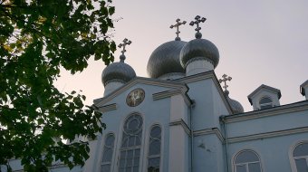 Одесситов приглашают в «Оранжерею цвета» (фото)