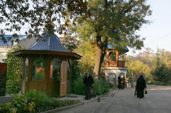 Одесситов приглашают в «Оранжерею цвета» (фото)
