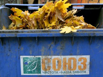 Осенние листья