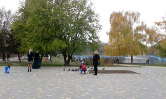 Все в парк: уток кормить! (фото)