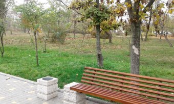 Все в парк: уток кормить! (фото)