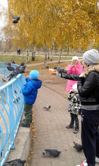 Все в парк: уток кормить! (фото)