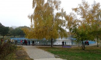 Все в парк: уток кормить! (фото)