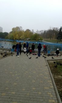 Все в парк: уток кормить! (фото)