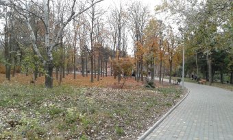 Все в парк: уток кормить! (фото)