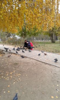 Все в парк: уток кормить! (фото)