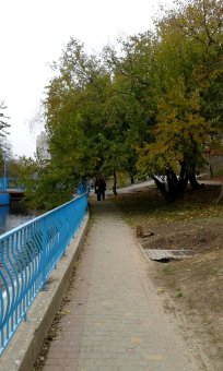 Все в парк: уток кормить! (фото)
