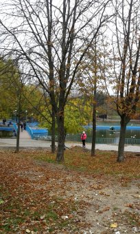 Все в парк: уток кормить! (фото)