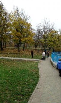 Все в парк: уток кормить! (фото)
