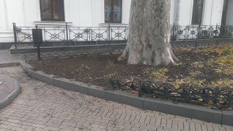 Лихач на автомобиле чуть не въехал в мэрию (фото)