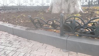 Лихач на автомобиле чуть не въехал в мэрию (фото)