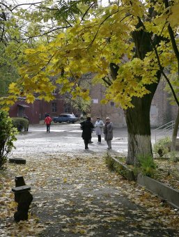 Одесситы отметили 170 лет со дня рождения великого физика Вильгельма Рентгена (фото)