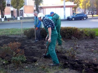 Горзелентрест высадит в Одессе более 23 тысяч кустов роз, а на Французском бульваре - 149 ясеней (фото)