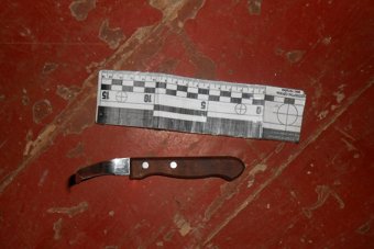 В Одесской области по «горячим следам» раскрыто убийство мужчины
