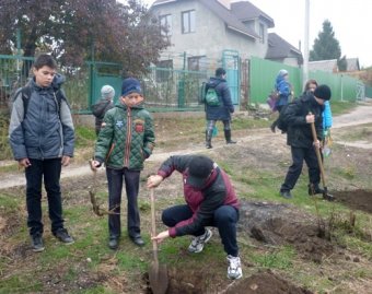 Одесские школьники высадили деревья на «Аллее Памяти» (фото)