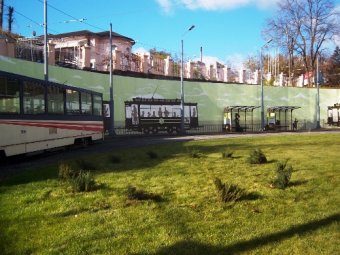 КП «Горзелентрест» продолжает работы по благоустройству зеленых зон Одессы (фото)