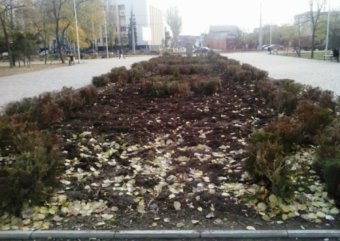 КП «Горзелентрест» продолжает работы по благоустройству зеленых зон Одессы (фото)