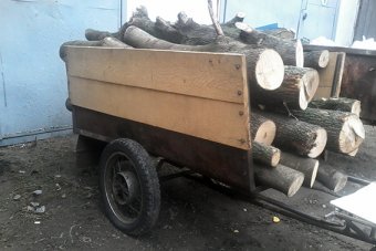 В Одесской области продолжается борьба с незаконными вырубками леса (фото)