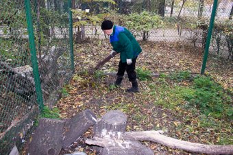 Большая фотопрогулка по Одесскому зоопарку 
