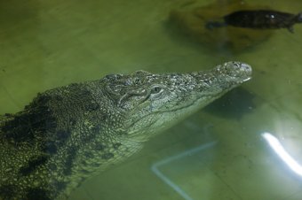 Большая фотопрогулка по Одесскому зоопарку 