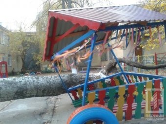 Деревопад продолжается: На Черемушках тополь упал на площадку детского сада