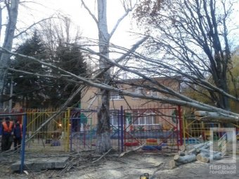 Деревопад продолжается: На Черемушках тополь упал на площадку детского сада