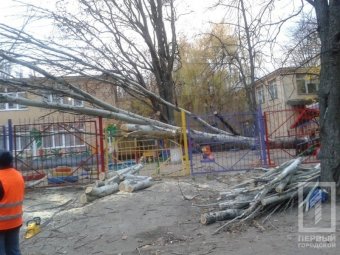 Деревопад продолжается: На Черемушках тополь упал на площадку детского сада