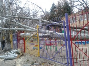 Деревопад продолжается: На Черемушках тополь упал на площадку детского сада