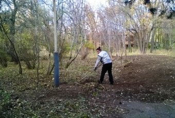 В Одессе продолжаются осенние субботники, в парках и скверах высаживают деревья и кустарники