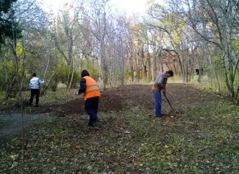 В Одессе продолжаются осенние субботники, в парках и скверах высаживают деревья и кустарники