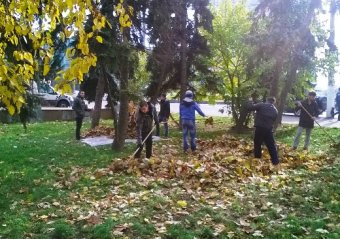 В Одессе продолжаются осенние субботники, в парках и скверах высаживают деревья и кустарники
