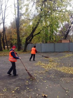 В Одессе продолжаются осенние субботники, в парках и скверах высаживают деревья и кустарники