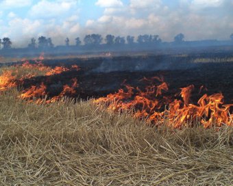 Пожары на фермерских полях скошенной пшеницы в Коминтерновском районе (видео)