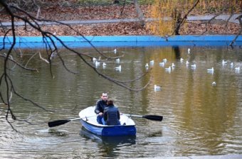 Вдоль аллей парка Победы поэтапно подключают новое освещение (фото)
