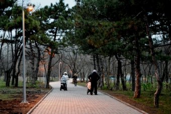 «Одесгорсвет» отчитывается об освещении парка Победы (фото)