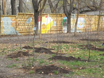 В сквере Героической обороны Одессы появилась Аллея лицеистов (фото)