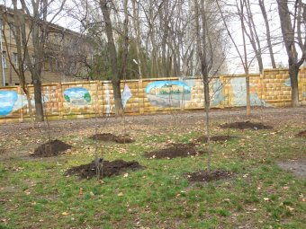 В сквере Героической обороны Одессы появилась Аллея лицеистов (фото)