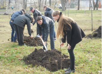 Весной в сквере Партизанской славы расцветут 750 кустов роз