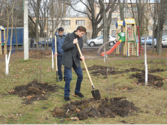 Весной в сквере Партизанской славы расцветут 750 кустов роз