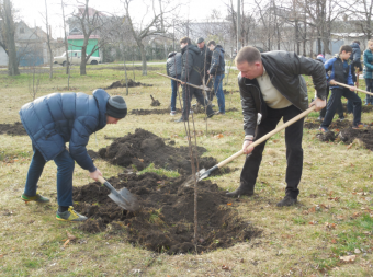 Весной в сквере Партизанской славы расцветут 750 кустов роз