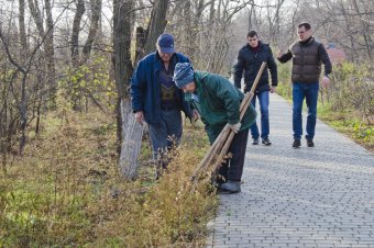 Вдоль Трассы здоровья высажены новые деревья (фото)