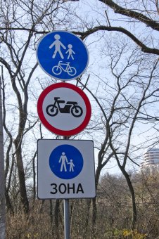 Вдоль Трассы здоровья высажены новые деревья (фото)