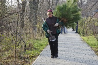 Вдоль Трассы здоровья высажены новые деревья (фото)