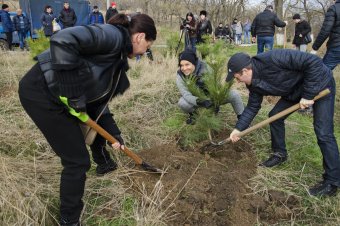 Вдоль Трассы здоровья высажены новые деревья (фото)