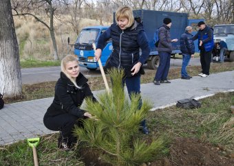 Вдоль Трассы здоровья высажены новые деревья (фото)
