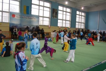 В Одессе прошел чемпионат области по  ушу