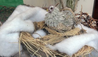 Одесские предприниматели посоревнуются за самую красивую новогоднюю витрину (фото)