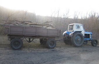 Полицейские арестовали незаконных лесорубов (фото)