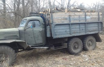 Полицейские арестовали незаконных лесорубов (фото)
